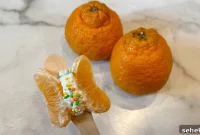 Mandarin Orange Butterfly Care and Identification Guide