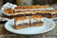 S’mores Fudge Bars Recipe — Gooey Campfire-Style Dessert