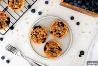 Mini Blueberry Hand Pies: Bite-Sized Fruit Desserts for Any Occasion