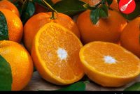 How to Tell If Mandarin Oranges Have Gone Bad — 3 Clear Signs
