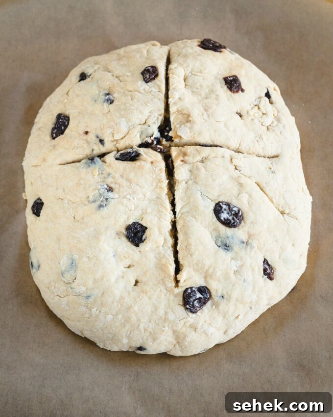 Dutch Oven Cherry Irish Soda Bread Recipe 4 Unbaked top-down view of a whole loaf of Soda Bread dotted with cherries with a cross scored through the top on a piece of parchment paper.