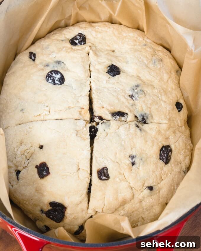 Dutch Oven Cherry Irish Soda Bread Recipe 5 Top-down view of an unbaked whole loaf of Soda Bread dotted with cherries sitting in a dutch oven waiting to be baked.