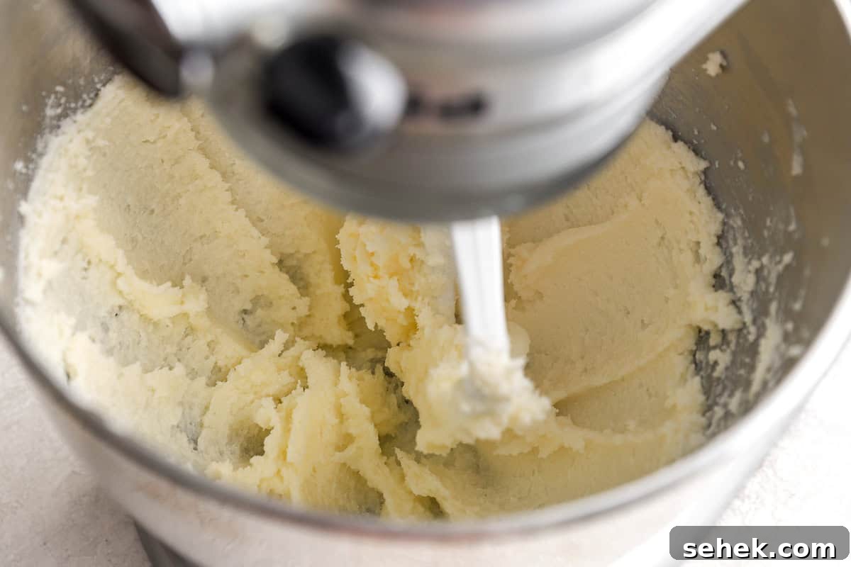 Classic Homemade Butter Cookies Recipe for Crisp, Melt-in-Your-Mouth Cookies 6 Combining ingredients in a stand mixer.