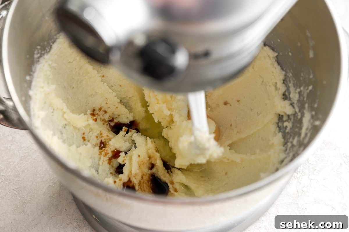 Classic Homemade Butter Cookies Recipe for Crisp, Melt-in-Your-Mouth Cookies 7 Creamed butter and vanilla in a stand mixer.