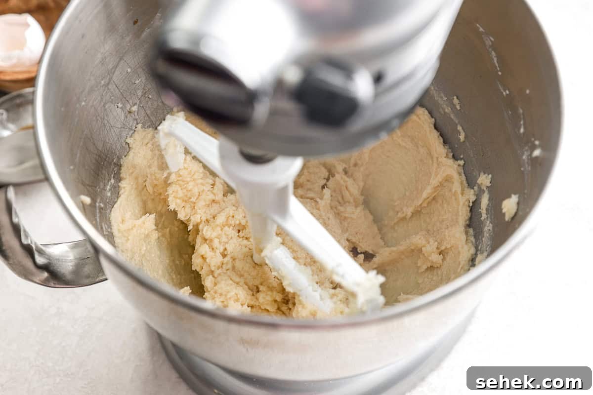Classic Homemade Butter Cookies Recipe for Crisp, Melt-in-Your-Mouth Cookies 8 Mixing cookie dough in a stand mixer.