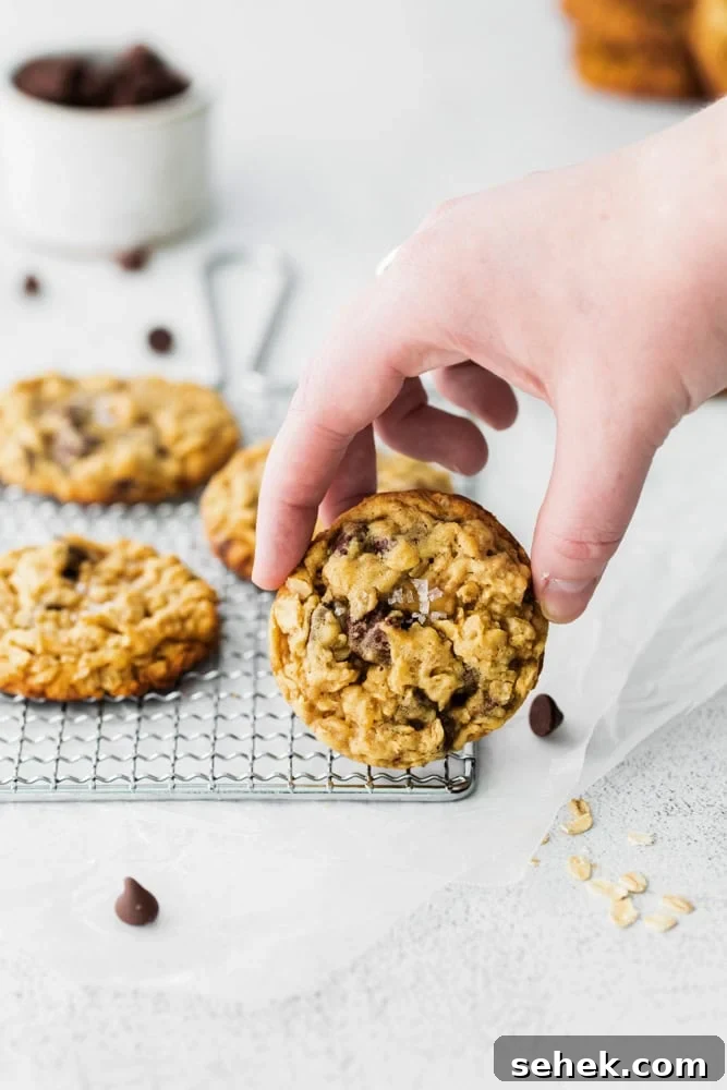 Classic Homemade Butter Cookies Recipe for Crisp, Melt-in-Your-Mouth Cookies 11 Chewy Oatmeal Chocolate Chip Cookies