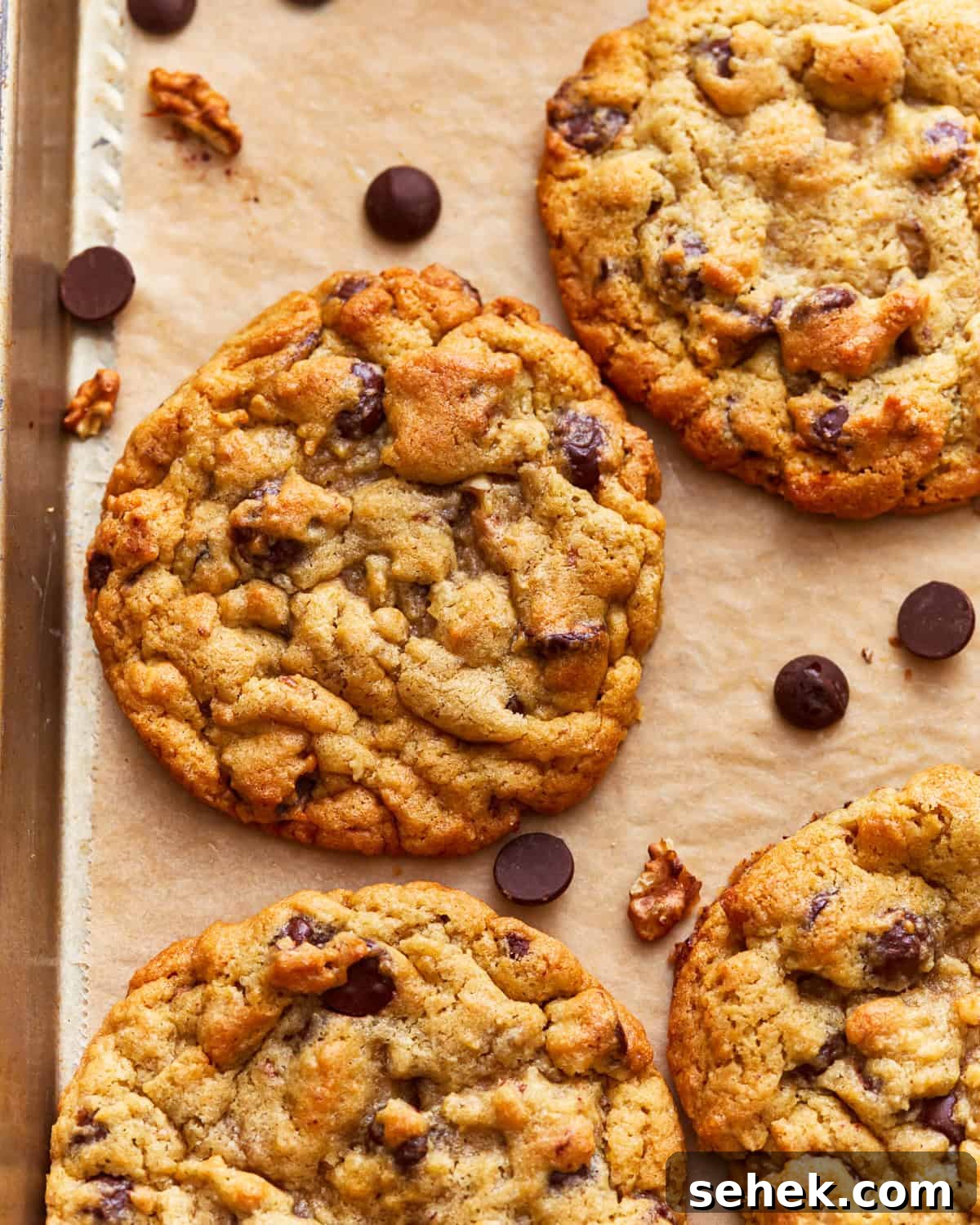 Classic Homemade Butter Cookies Recipe for Crisp, Melt-in-Your-Mouth Cookies 12 Bakery-Style Chocolate Chip Cookies
