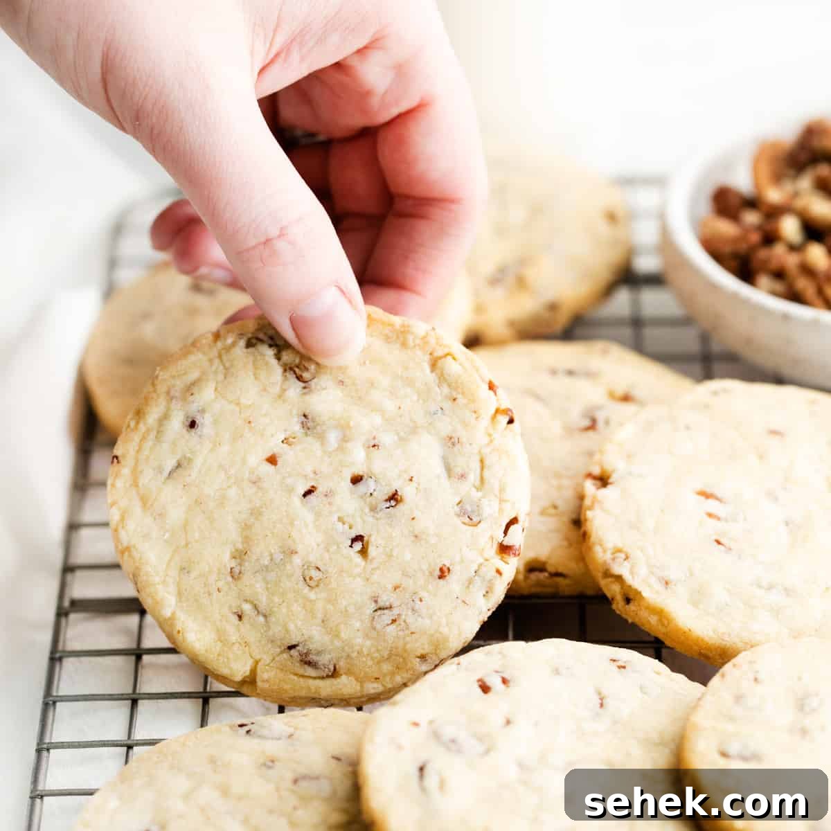 Classic Homemade Butter Cookies Recipe for Crisp, Melt-in-Your-Mouth Cookies 14 Pecan Shortbread Cookies
