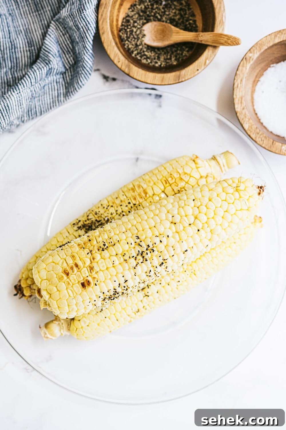 Delicious Dandy sweet corn Delicious Dandy sweet corn