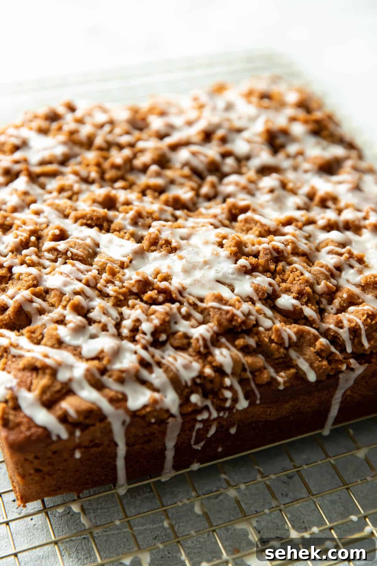 Streusel-Topped Coffee Cake Bars Recipe for Perfect Morning Treat 3 img 1066 2