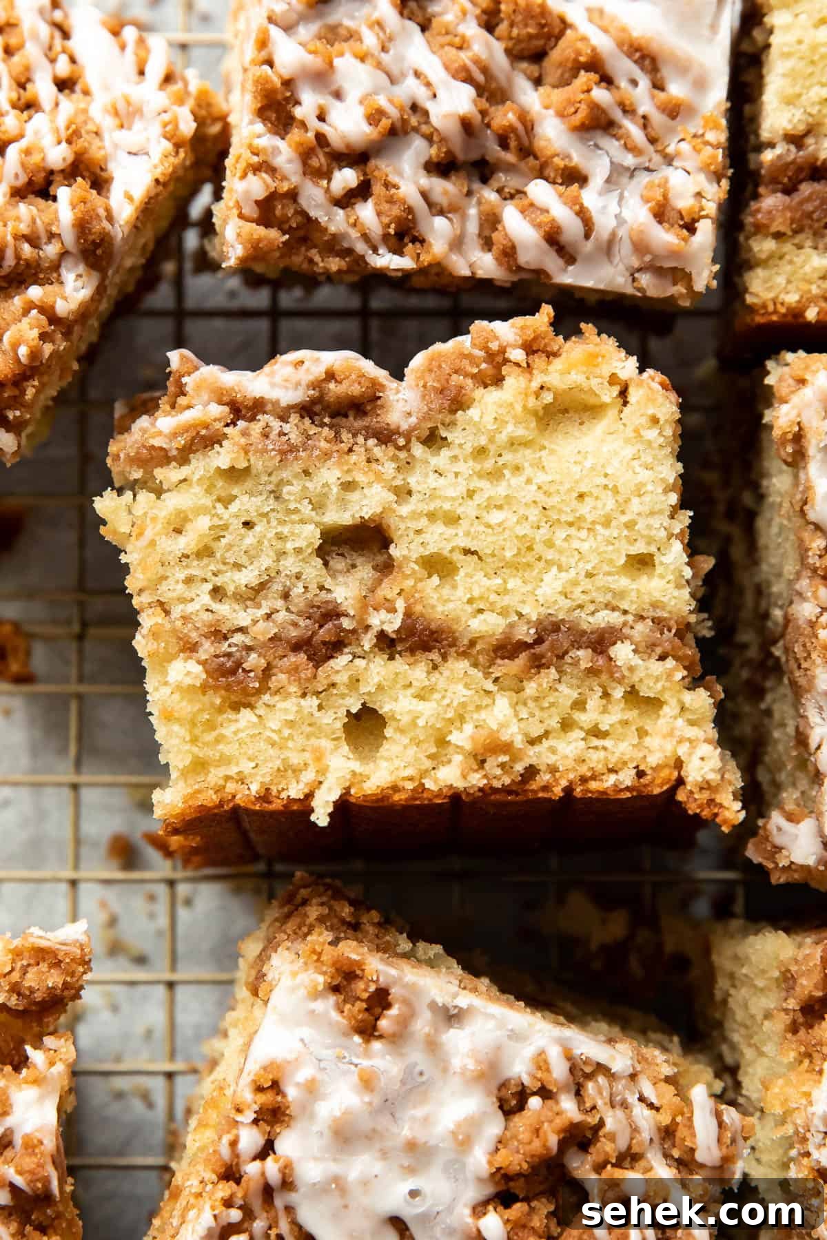 Streusel-Topped Coffee Cake Bars Recipe for Perfect Morning Treat 4 img 1066 3