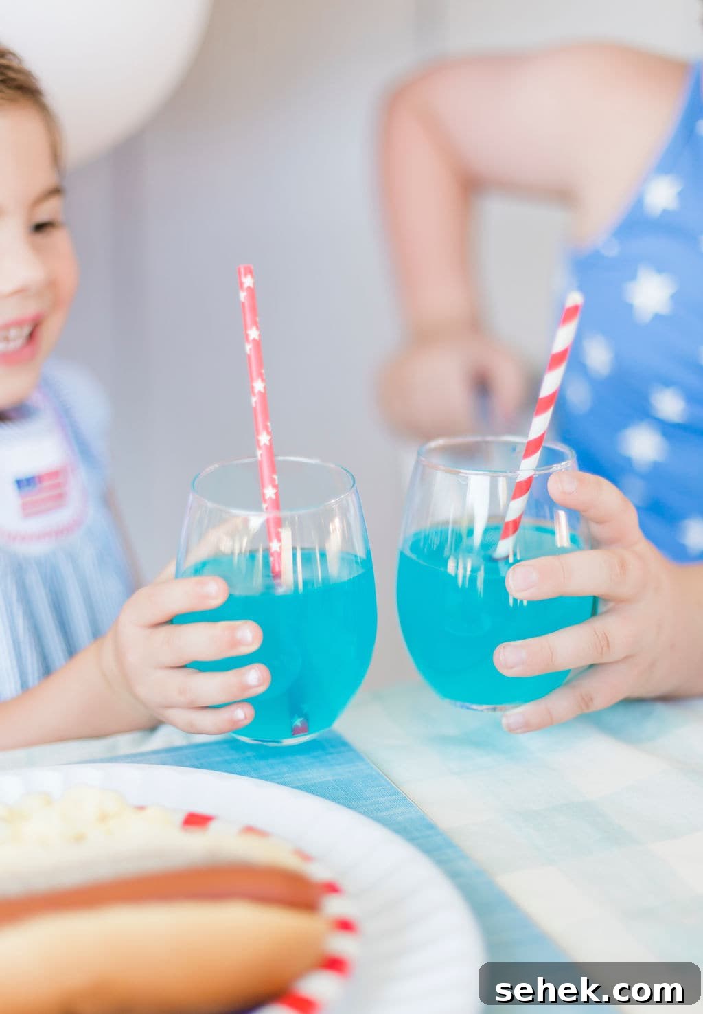 Fourth of July Party Ideas: Festive Food, Decor & Fireworks Tips 12 img 108313 11