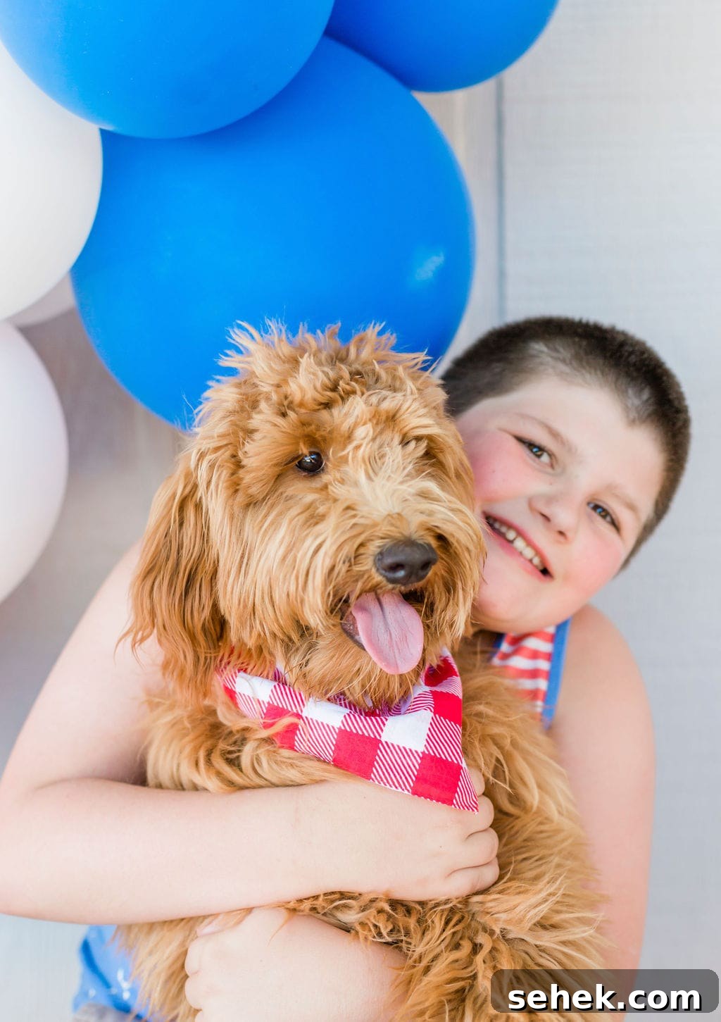 Fourth of July Party Ideas: Festive Food, Decor & Fireworks Tips 15 img 108313 14