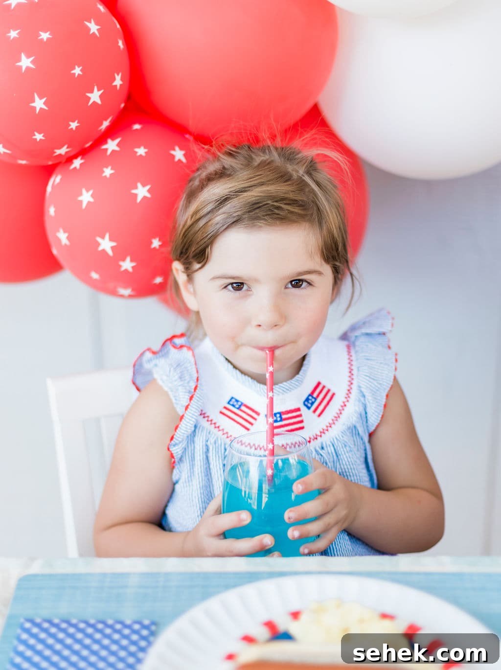 Fourth of July Party Ideas: Festive Food, Decor & Fireworks Tips 9 img 108313 8