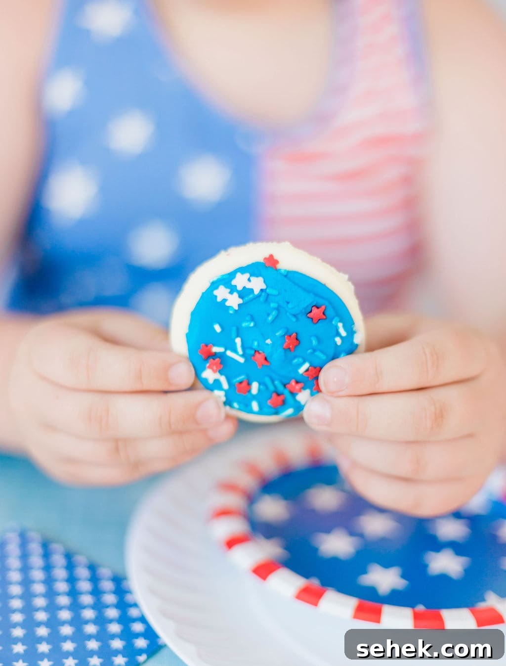 Fourth of July Party Ideas: Festive Food, Decor & Fireworks Tips 10 img 108313 9