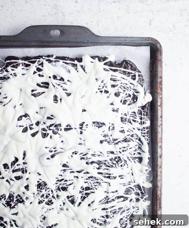 Spider Candy Bark Recipe — Halloween Chocolate Bark with Gummy Spiders 5 close-up overhead shot of white chocolate webbing on candy bark
