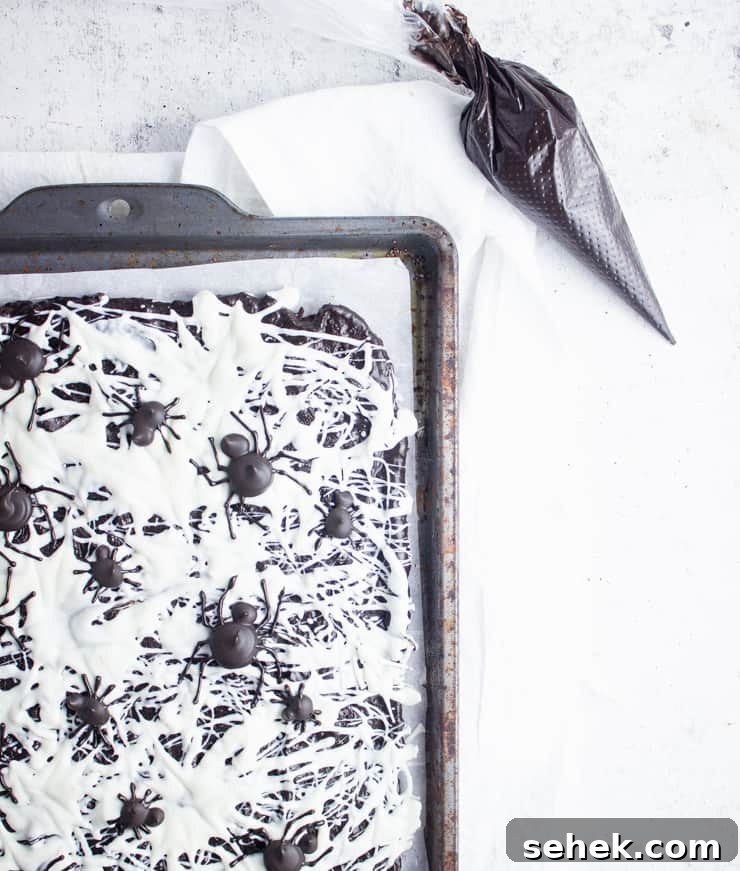 Spider Candy Bark Recipe — Halloween Chocolate Bark with Gummy Spiders 6 black chocolate spiders on a black and white candy bark background