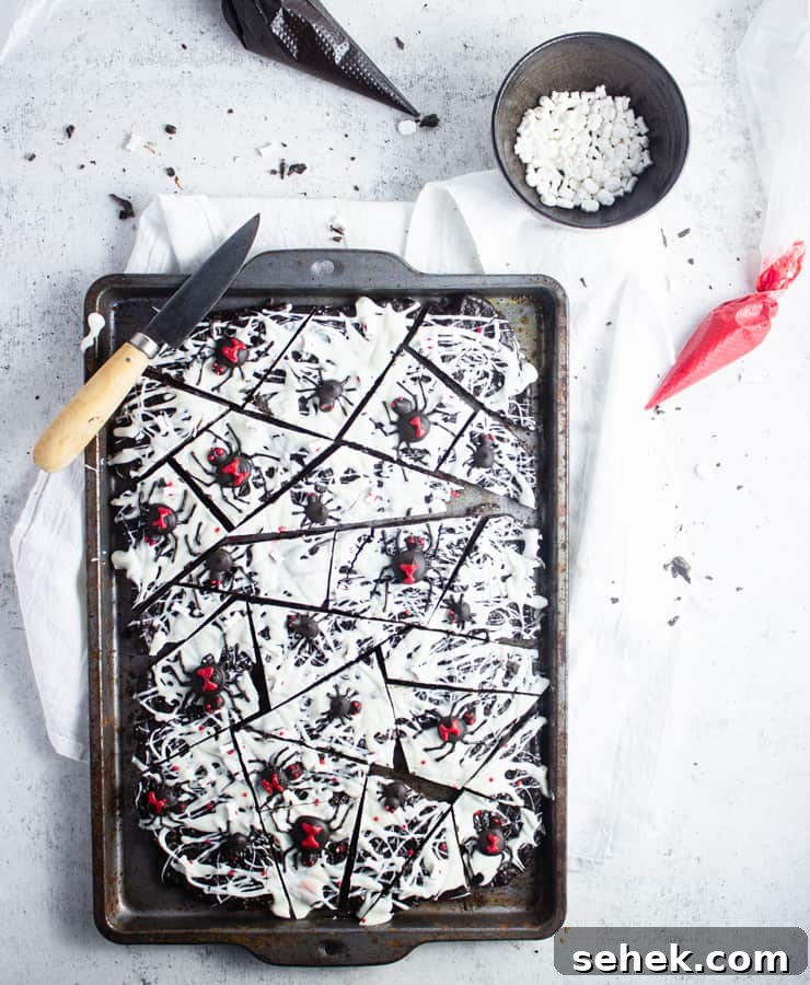 Spider Candy Bark Recipe — Halloween Chocolate Bark with Gummy Spiders 7 overhead shot of sliced candy bark