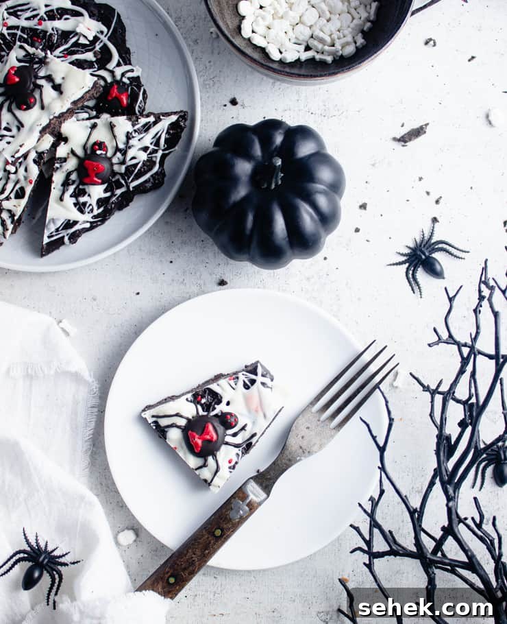 Spider Candy Bark Recipe — Halloween Chocolate Bark with Gummy Spiders 8 close-up overhead shot of a piece of plated spider candy bark