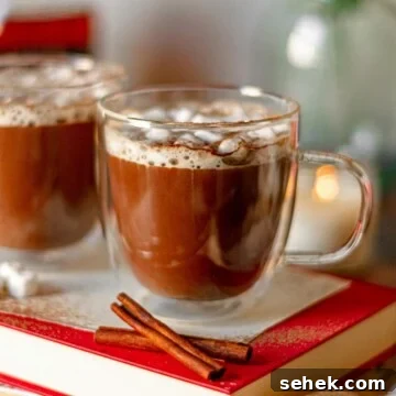 Dairy-Free Spiked Hot Chocolate Recipe: Cozy Vegan Cocoa with Rum 12 A clear mug filled with hot chocolate.