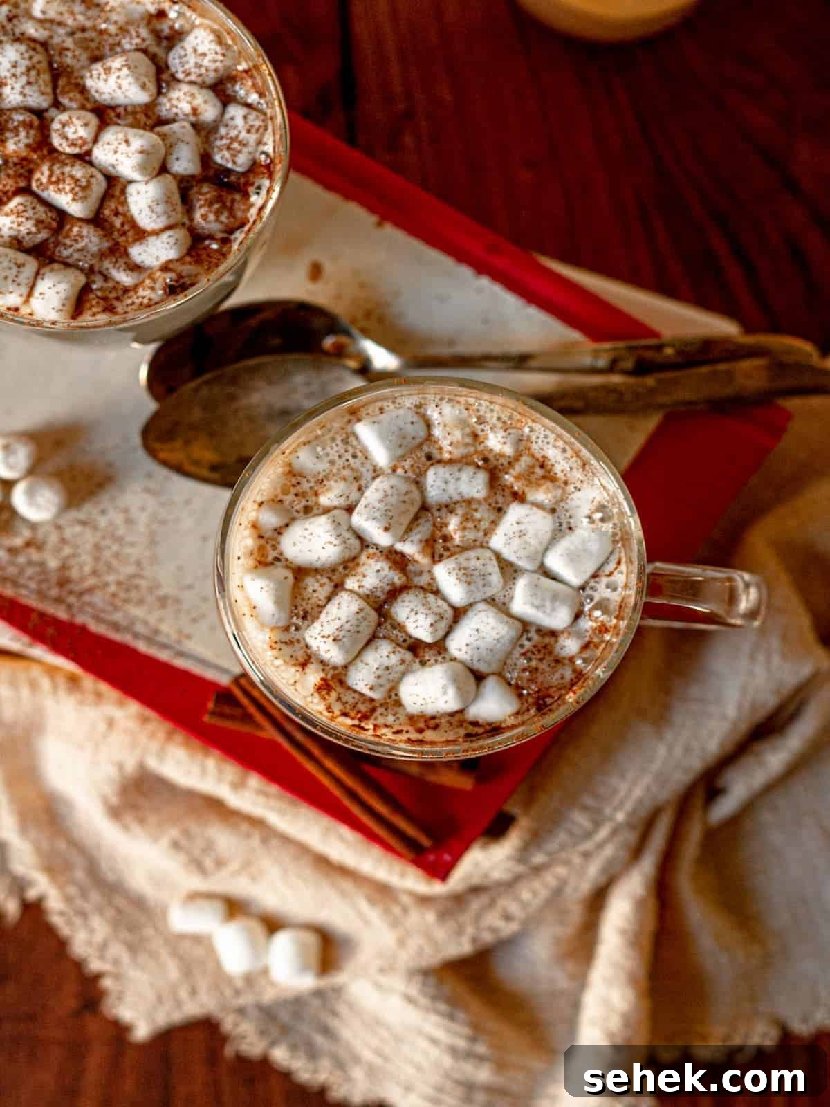Dairy-Free Spiked Hot Chocolate Recipe: Cozy Vegan Cocoa with Rum 6 Overhead of two mugs filled with marshmallow-topped hot chocolate next to two spoons.