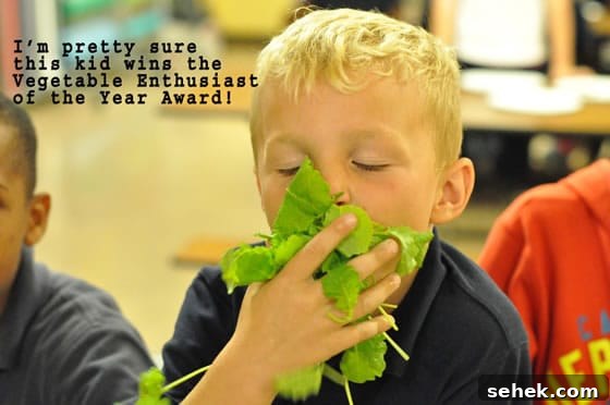 Teach Kids Food Literacy + Carrot & Raisin Citrus Salad Recipe 2 Teaching Food Literacy To Kids