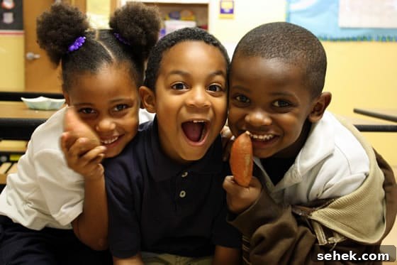 Teach Kids Food Literacy + Carrot & Raisin Citrus Salad Recipe 3 Teaching Food Literacy To Kids