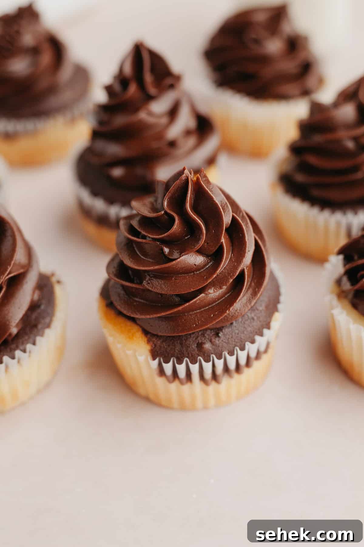 Whipped Chocolate Ganache Frosting Recipe for Cakes 2 img 11983 1
