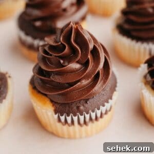 Whipped Chocolate Ganache Frosting Recipe for Cakes 12 Chocolate and vanilla cupcakes with chocolate whipped ganache frosting.
