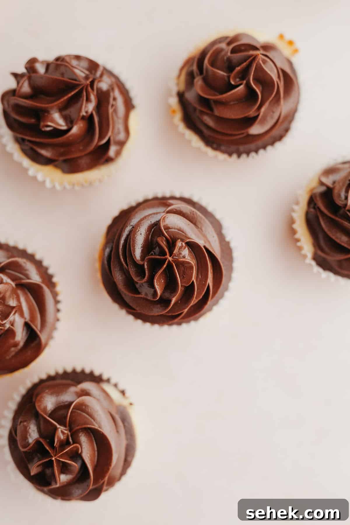 Whipped Chocolate Ganache Frosting Recipe for Cakes 6 An overhead shot of cupcakes with piped whipped ganache frosting on top.