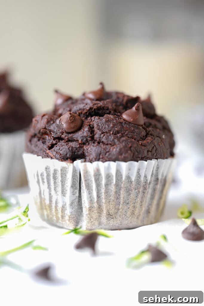 Moist Chocolate Zucchini Muffins 5 Chocolate Zucchini Muffins