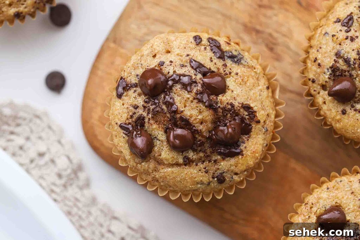 Greek Yogurt Chocolate Chip Muffins — Moist, Protein-Packed Recipe 3 Chocolate chip muffin on a board.