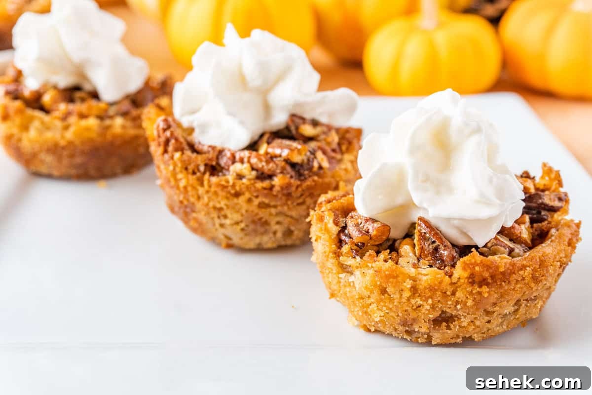 Pecan Pie Cookies: Chewy Cinnamon-Pecan Cookie Recipe 5 mini pecan tarts lined up on a white plate.
