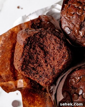 Double chocolate muffins