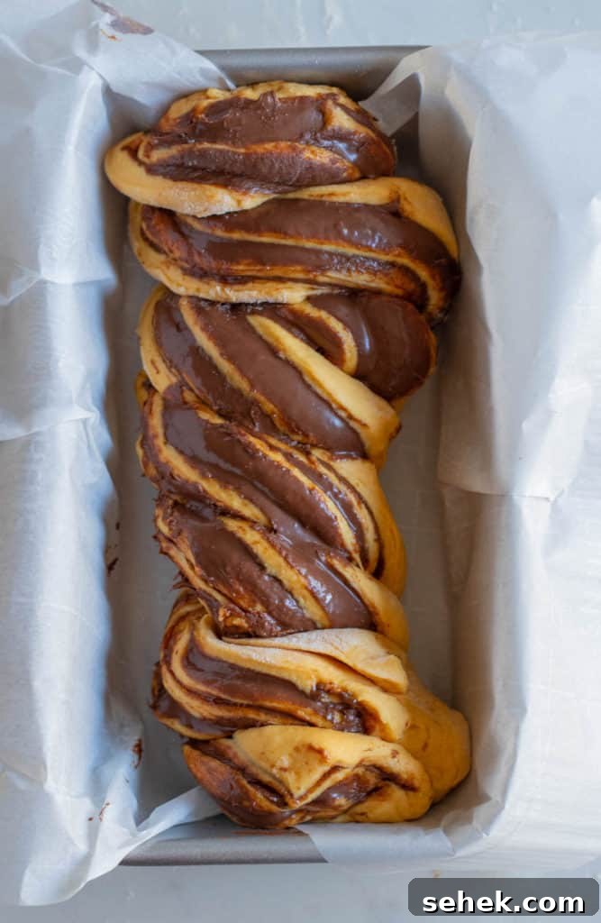 pumpkin nutella babka dough in loaf pan