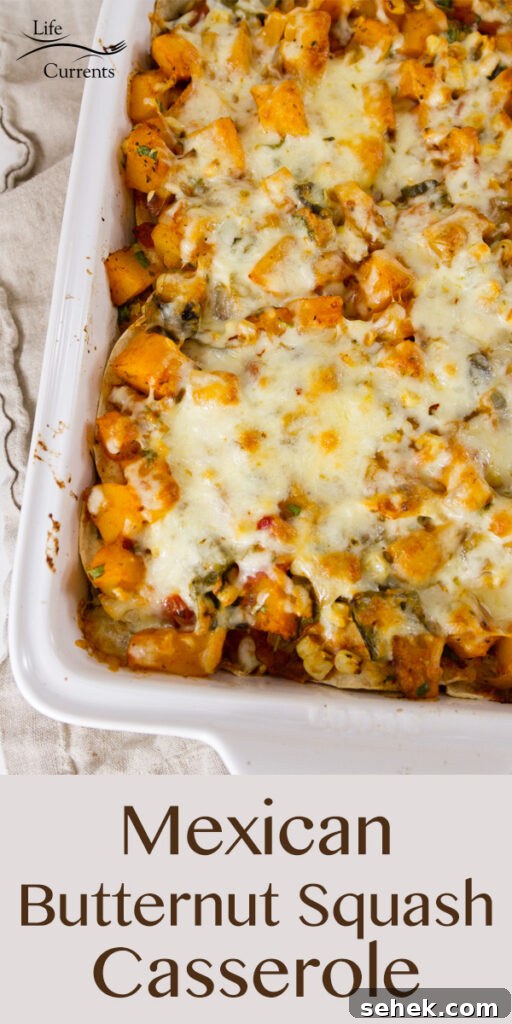 Mexican-Style Butternut Squash Casserole with Chipotle and Cheese 2 Mexican Butternut Squash Casserole in a white pan with title at bottom
