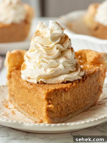 Slice of cream cheese pumpkin pie with whipped cream on white plate.