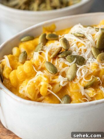 Pumpkin sauce on pasta with pepitas in bowl.