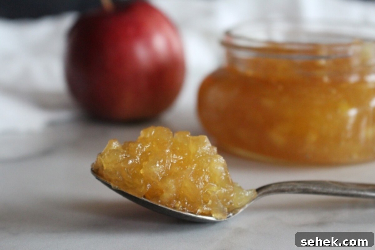 Homemade Apple Jam Recipe: Small-Batch Preserving Guide 2 Apple Jam