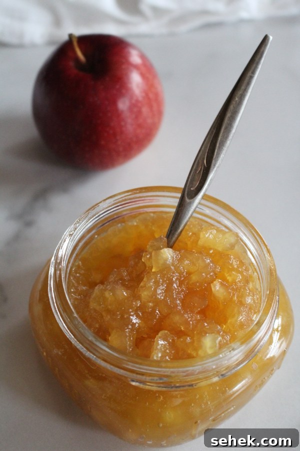 Homemade Apple Jam Recipe: Small-Batch Preserving Guide 3 img 13260 2