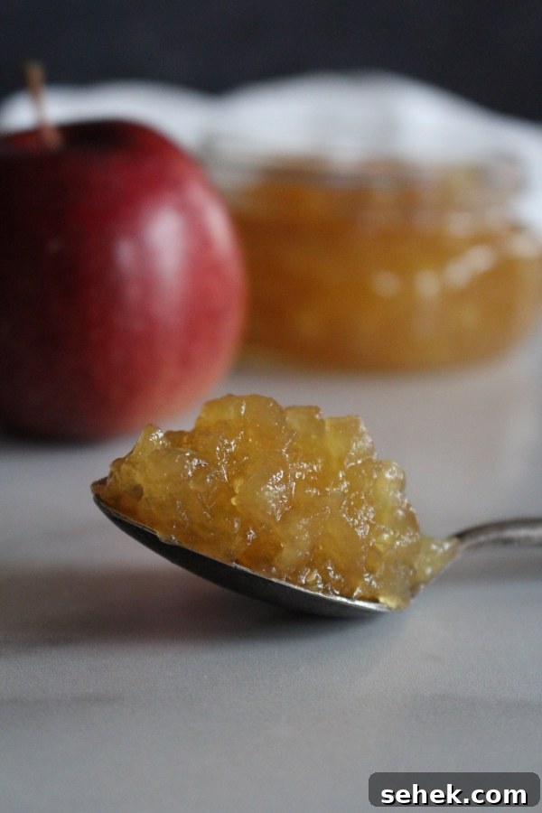 Homemade Apple Jam Recipe: Small-Batch Preserving Guide 6 img 13260 5