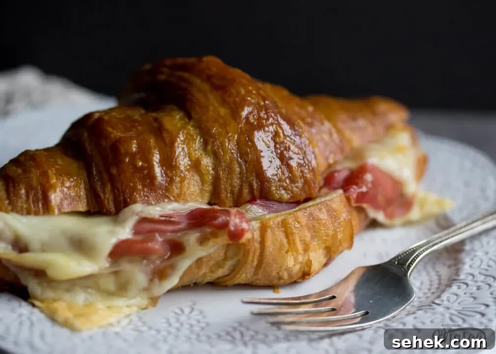 Flaky Croissant Breakfast Sandwich Recipe with Ham & Cheese 8 Prosciutto & Gouda Croissant Sandwich on a Plate