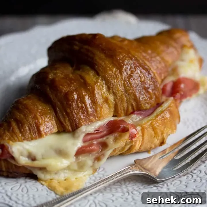 Prosciutto & Gouda Croissant Sandwich on a Plate