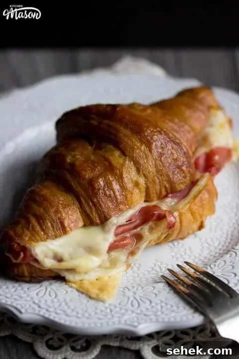 Flaky Croissant Breakfast Sandwich Recipe with Ham & Cheese 4 Prosciutto & Gouda Croissant Sandwich on a Plate