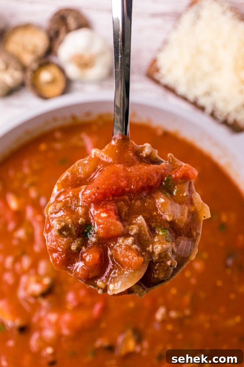 Mom's Spaghetti Sauce ladle full of spaghetti sauce