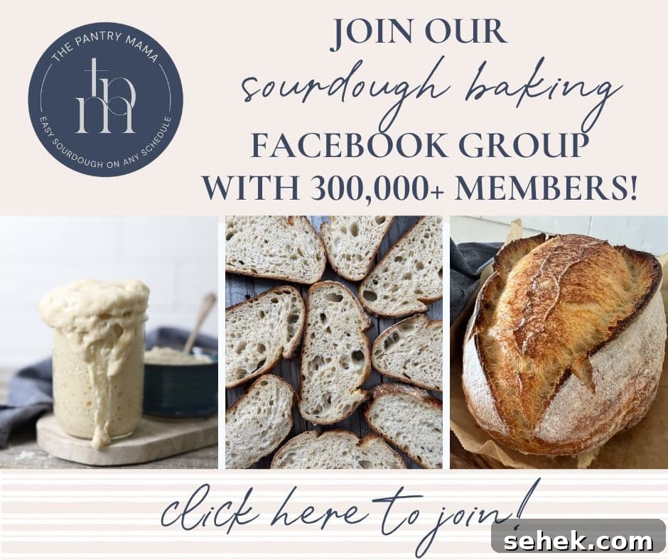 Top Sourdough Bread Add-Ins to Boost Flavor and Texture 7 img 1457 13