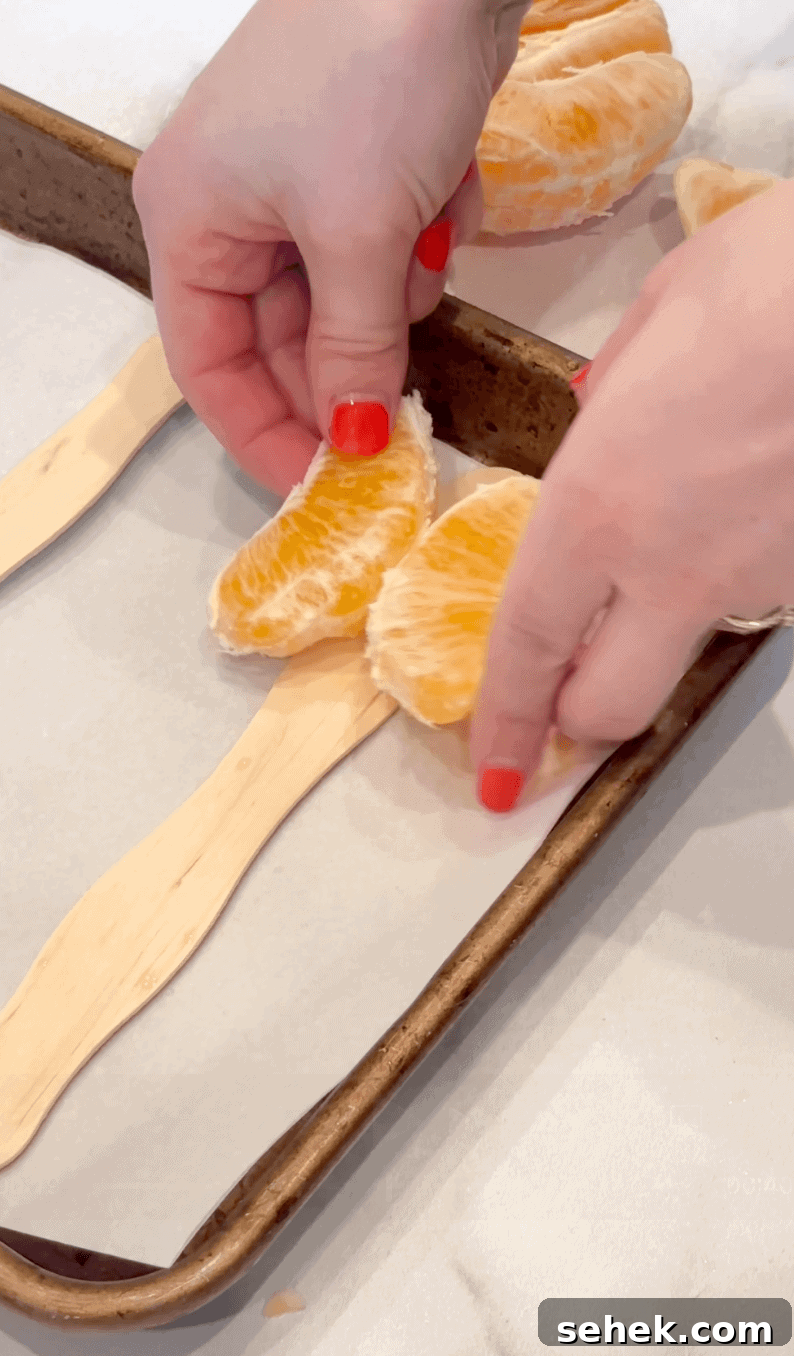 Mandarin Orange Butterfly Care and Identification Guide 3 laying to mandarin pieces on popsicle stick