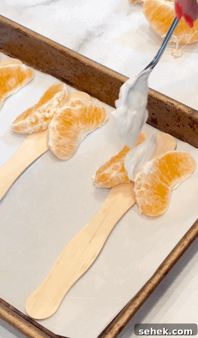 Mandarin Orange Butterfly Care and Identification Guide 4 Layering Greek yogurt between two mandarin slices to hold them together