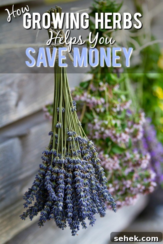 10 Ways Growing Your Own Herbs Saves You Money - Herbs are incredibly useful in cooking, crafting, beauty products, and more, but they can be costly. Check out these 10 ways growing your own herbs saves you money and start saving now! Frugal Living | Save Money