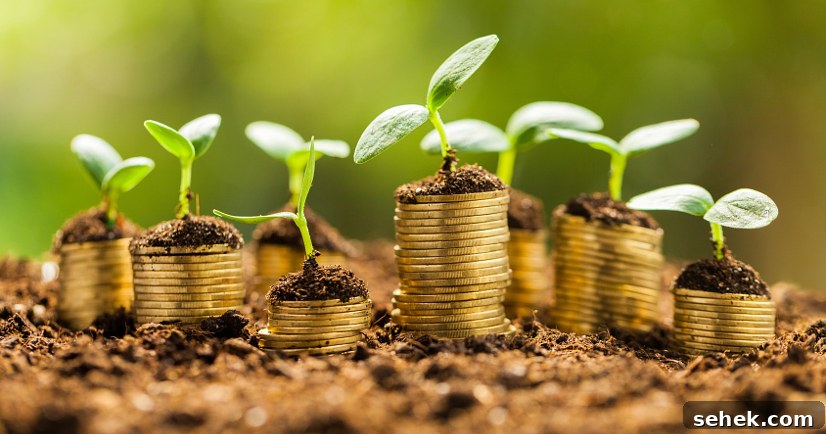6 Tips to Save Money Gardening Supplies